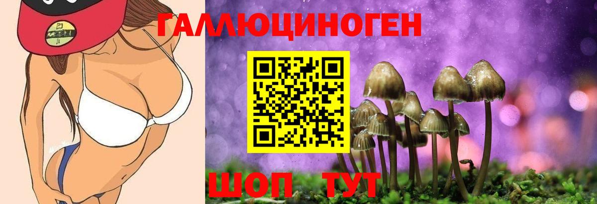 Фрязино  Галлюциногенные грибы мицелий  Вход с VPN 