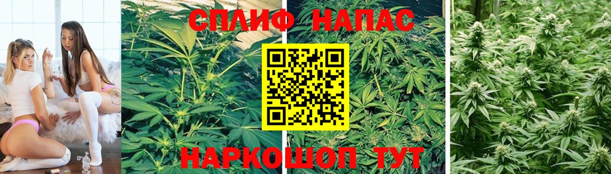 Конопля гибрид  Вход с VPN  МАРИХУАНА гибрид  Каннабис сатива  Фрязино  Шишки марихуана планчик 
